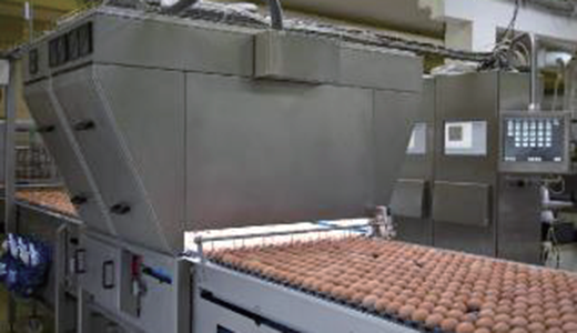 蛋品分級(jí)機(jī)