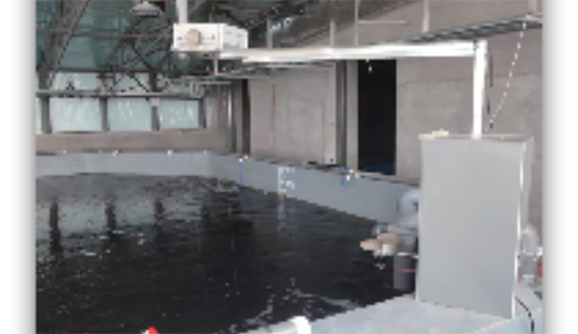 自動料臺及自動投喂系統(tǒng)