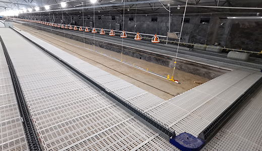 南通正大東凌18萬套肉種雞項目