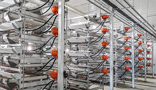 山東濰坊現(xiàn)代食品（360萬(wàn)蛋雞）全產(chǎn)業(yè)鏈