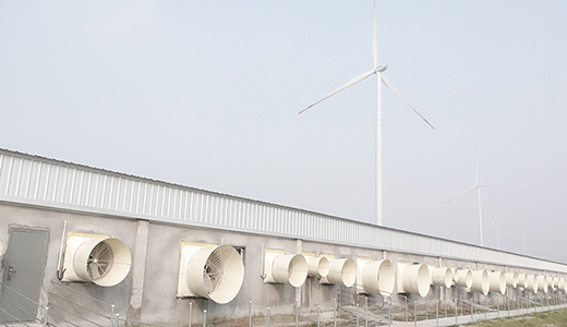 河南民權(quán)畢集6000種豬場(chǎng)