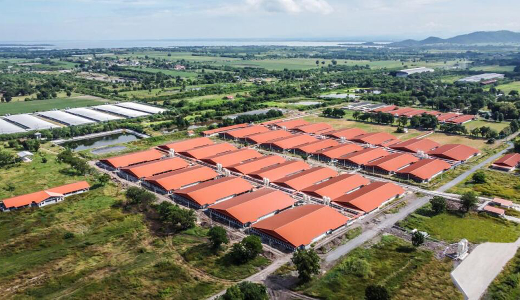 堅(jiān)定國(guó)際化戰(zhàn)略，正大機(jī)電企業(yè)海外市場(chǎng)逐浪前行結(jié)碩果